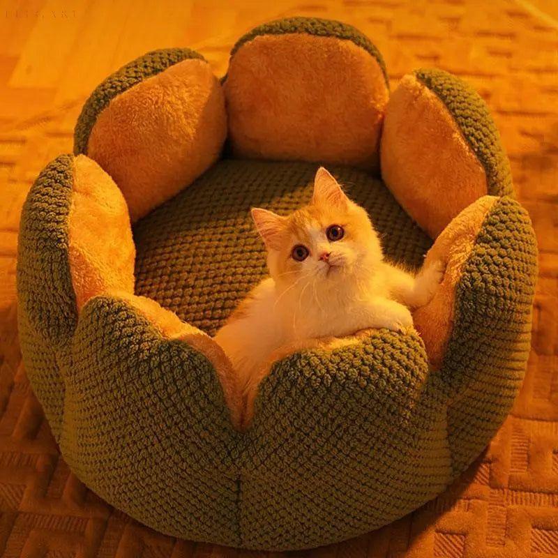 Cactus Thron Pet Bed - Stimuliert den Schlafkomfort - Haustierbedarf