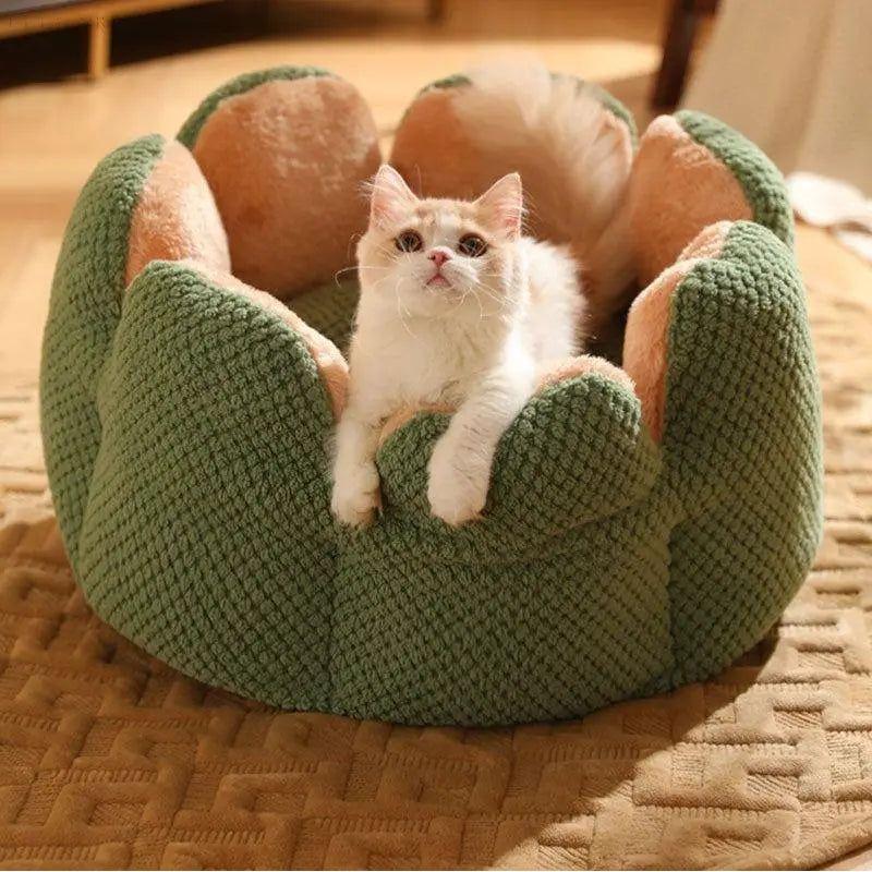 Cactus Thron Pet Bed - Stimuliert den Schlafkomfort - S 40*40cm / Grün - Haustierbedarf