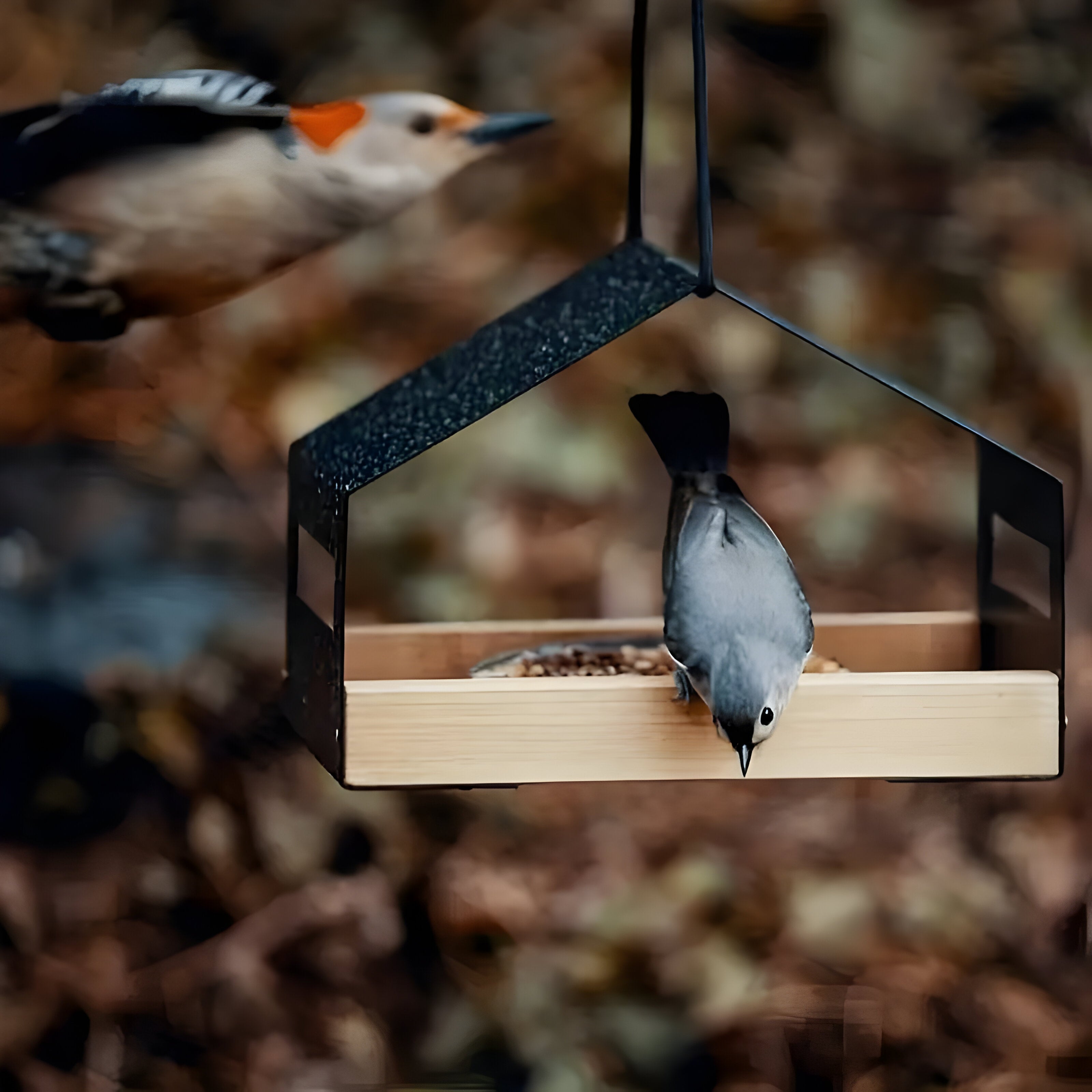 TweetWood Nest – Elegantes Hängendes Vogelhaus