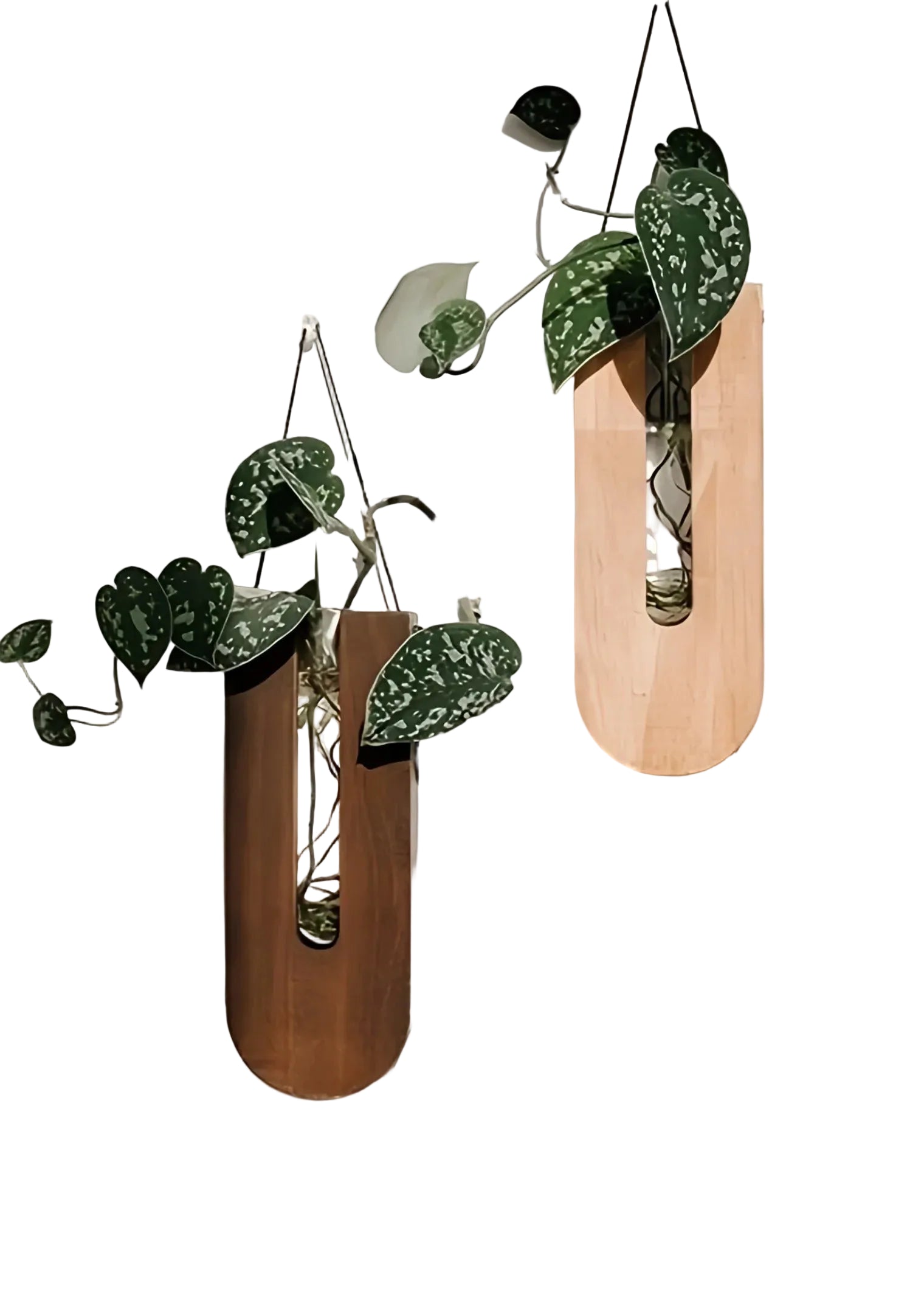 Holz-Wandvasen im Rustikalen Design – Kreative Blumendeko | Perfekt für Blumen und Moderne Wandgestaltung - Vase