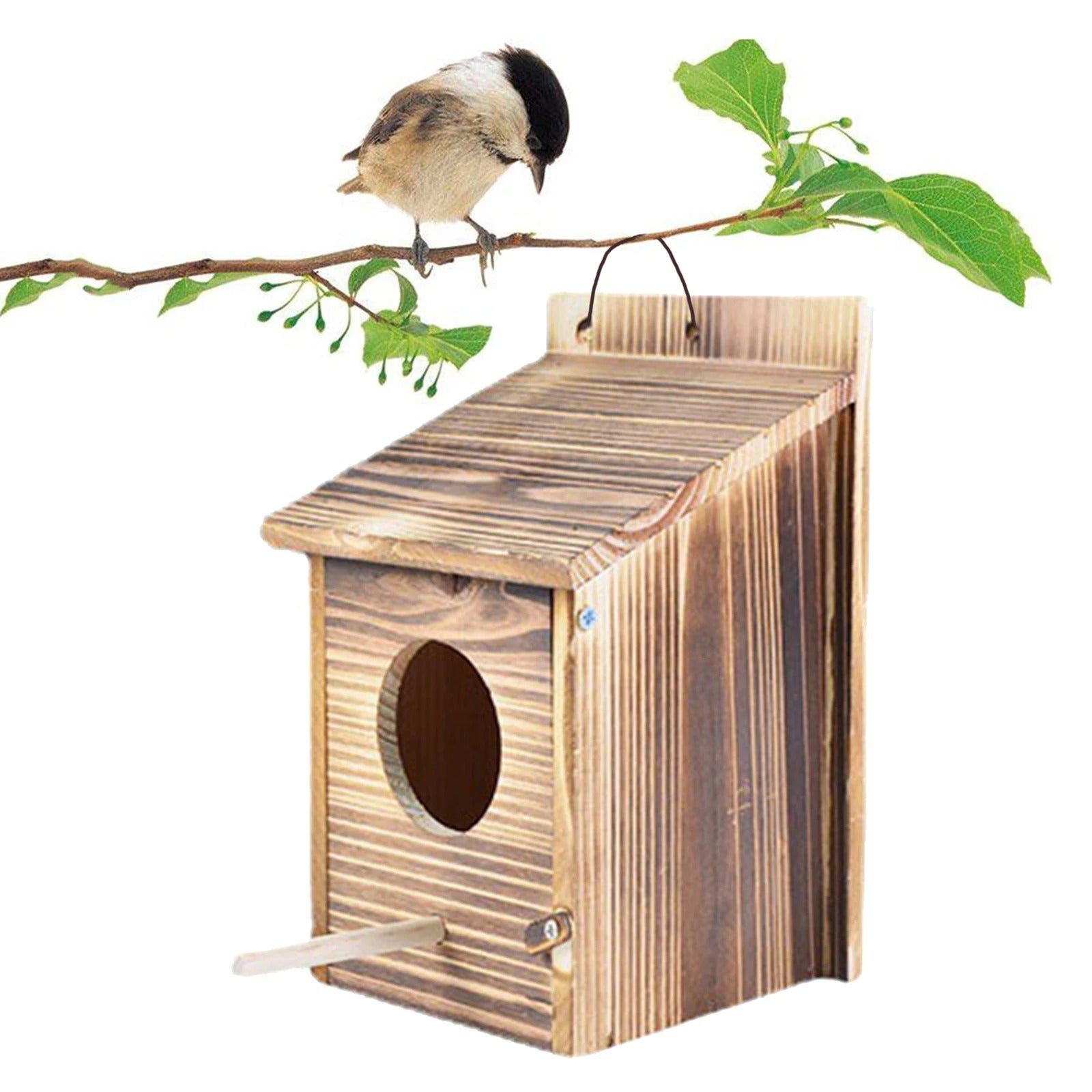 WoodHollow Nest - Wetterfestes Holz hängendes Vogelnest