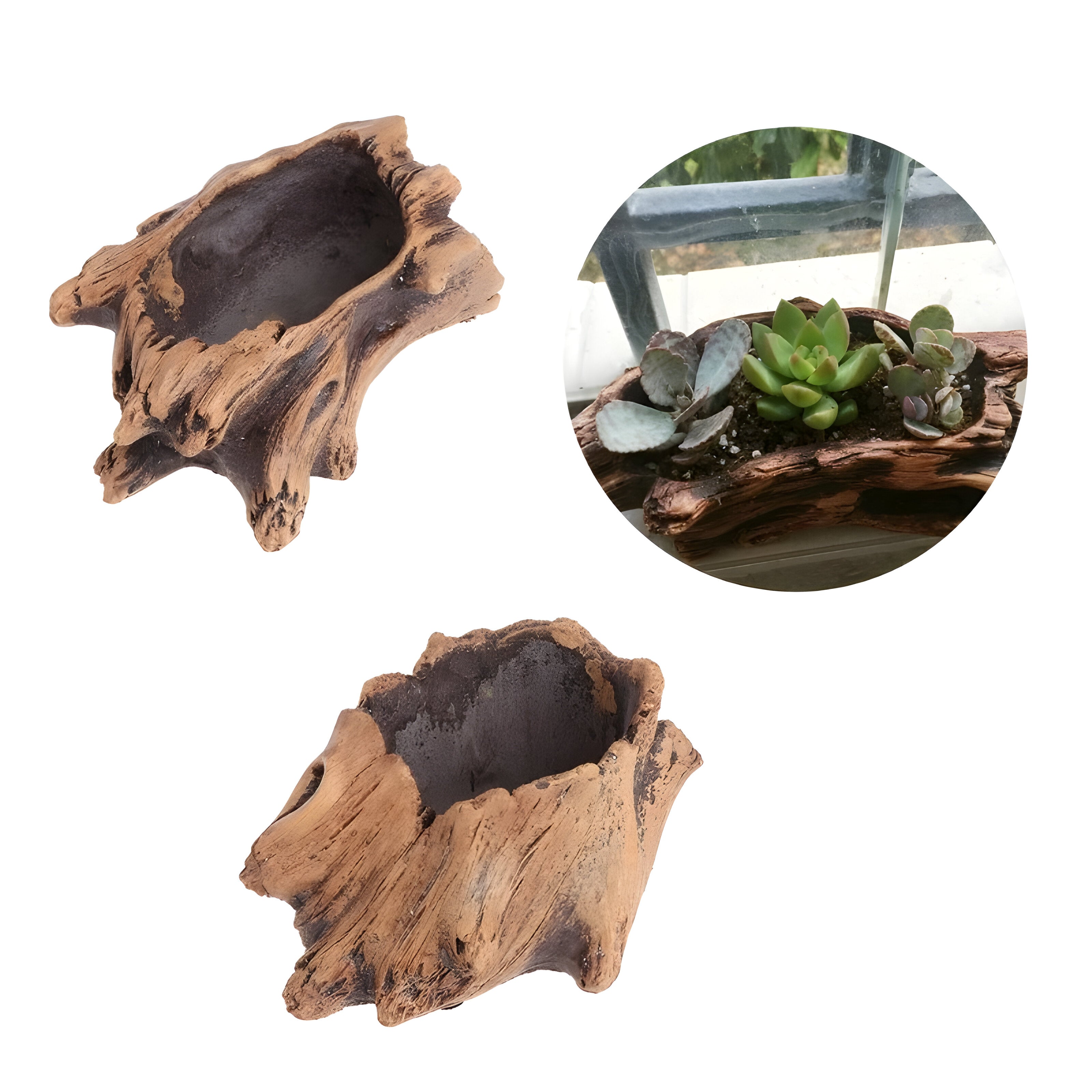 BloomCrest Topf - Sukkulenten Bonsai Dekorationspflanzer
