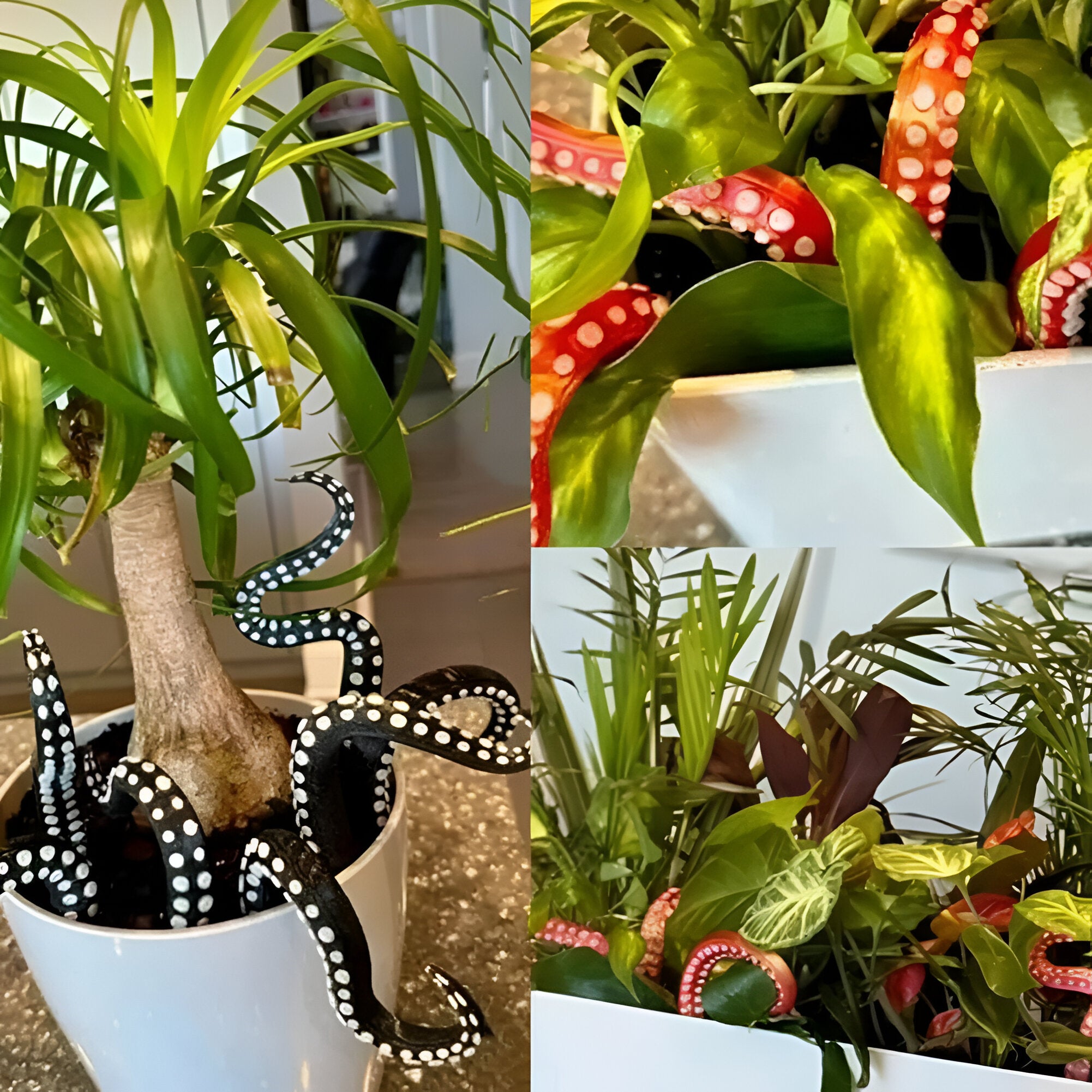TentacleBloom Set - 7 Stück Oktopus Tentakel Dekoration