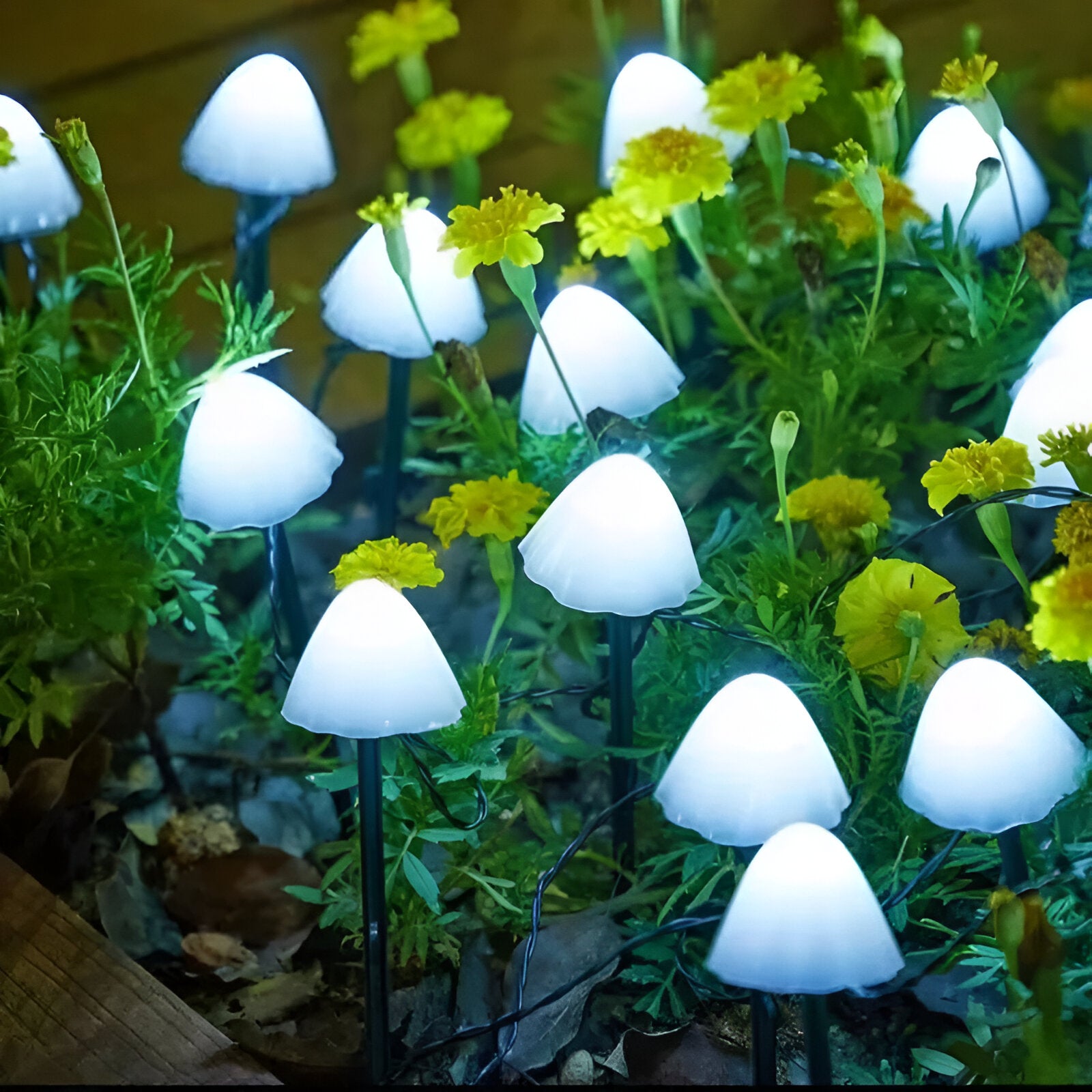 BrightPath Light - 10-Teilige Wasserdichte Solar-LED-Pilzleuchte
