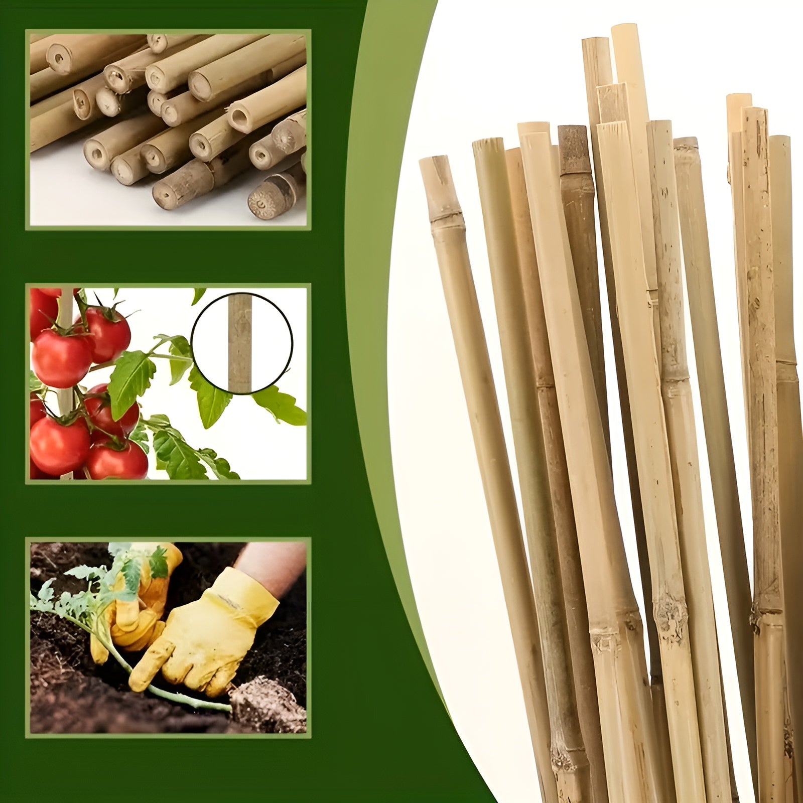 Natürliche Bambusstäbe – Robuste Pflanzenstütze | Perfekt für Garten und Topfpflanzen - Pflanzenstützen