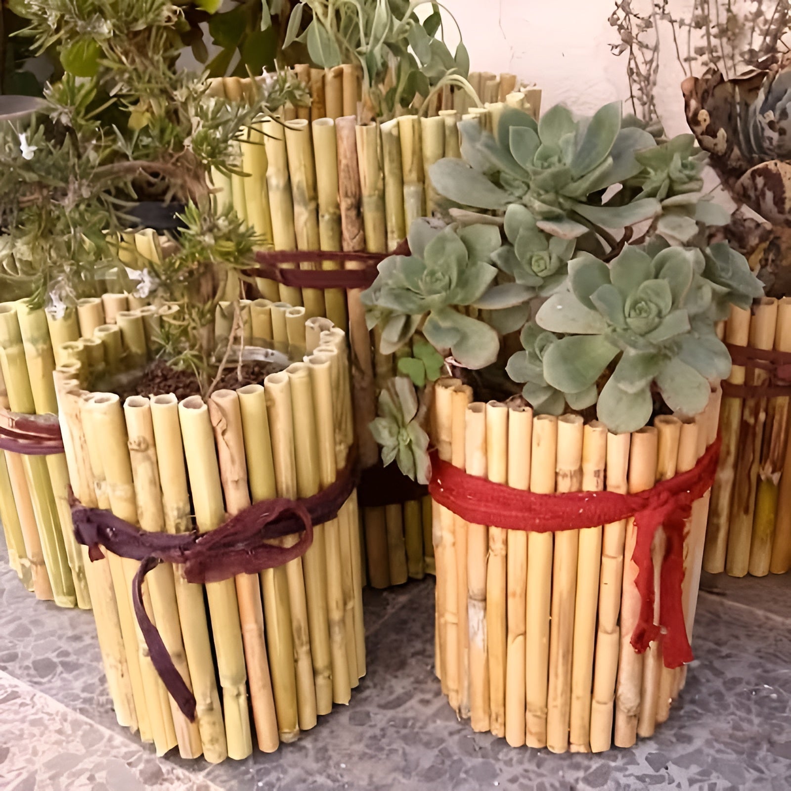 Natürliche Bambusstäbe – Robuste Pflanzenstütze | Perfekt für Garten und Topfpflanzen - Pflanzenstützen