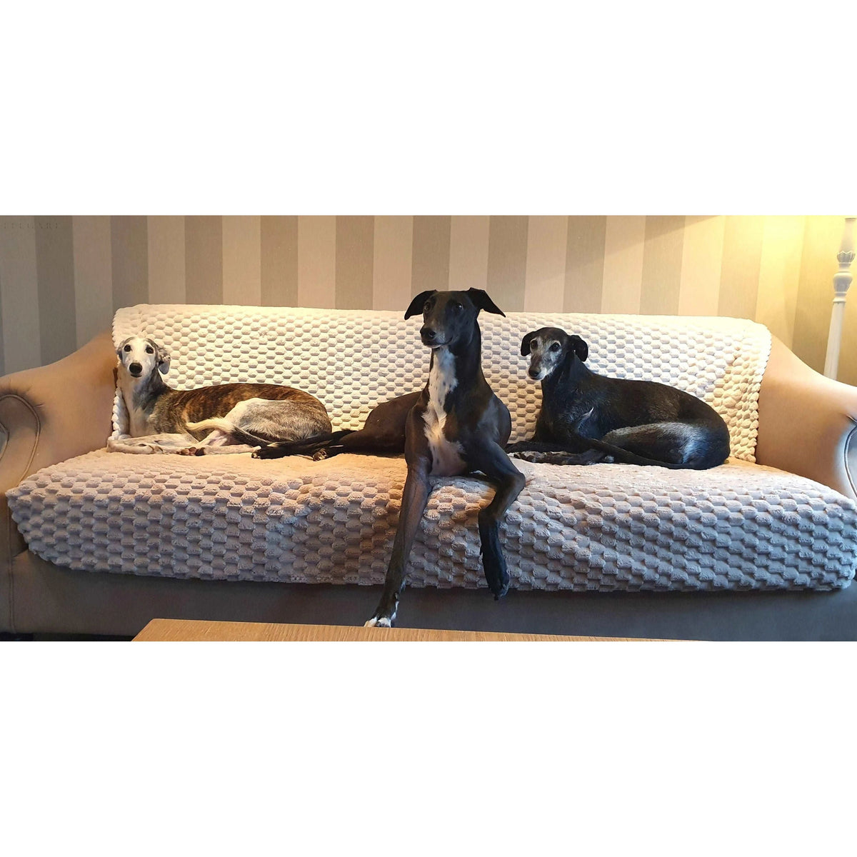 Romy - Plüschsofabezug - Hochwertige Sofa- und Kissenbezüge L Form - Sofabezug