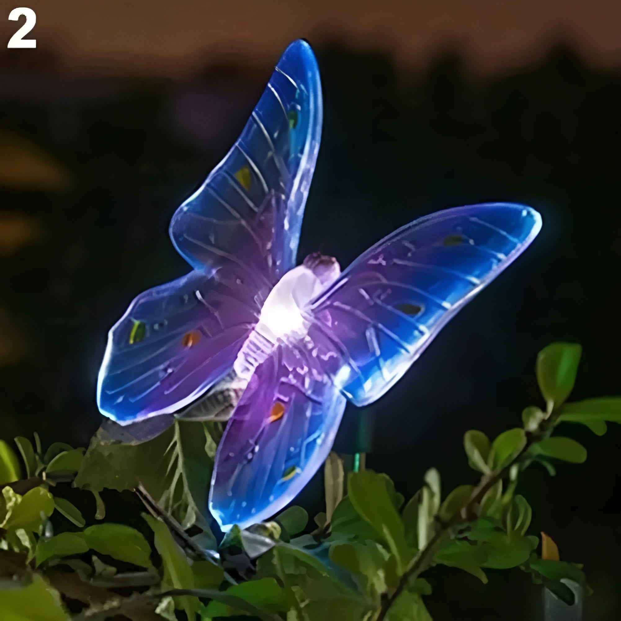 Schmetterlings-Solarleuchte – Zauberhafte Beleuchtung für Ihren Garten - Lampe