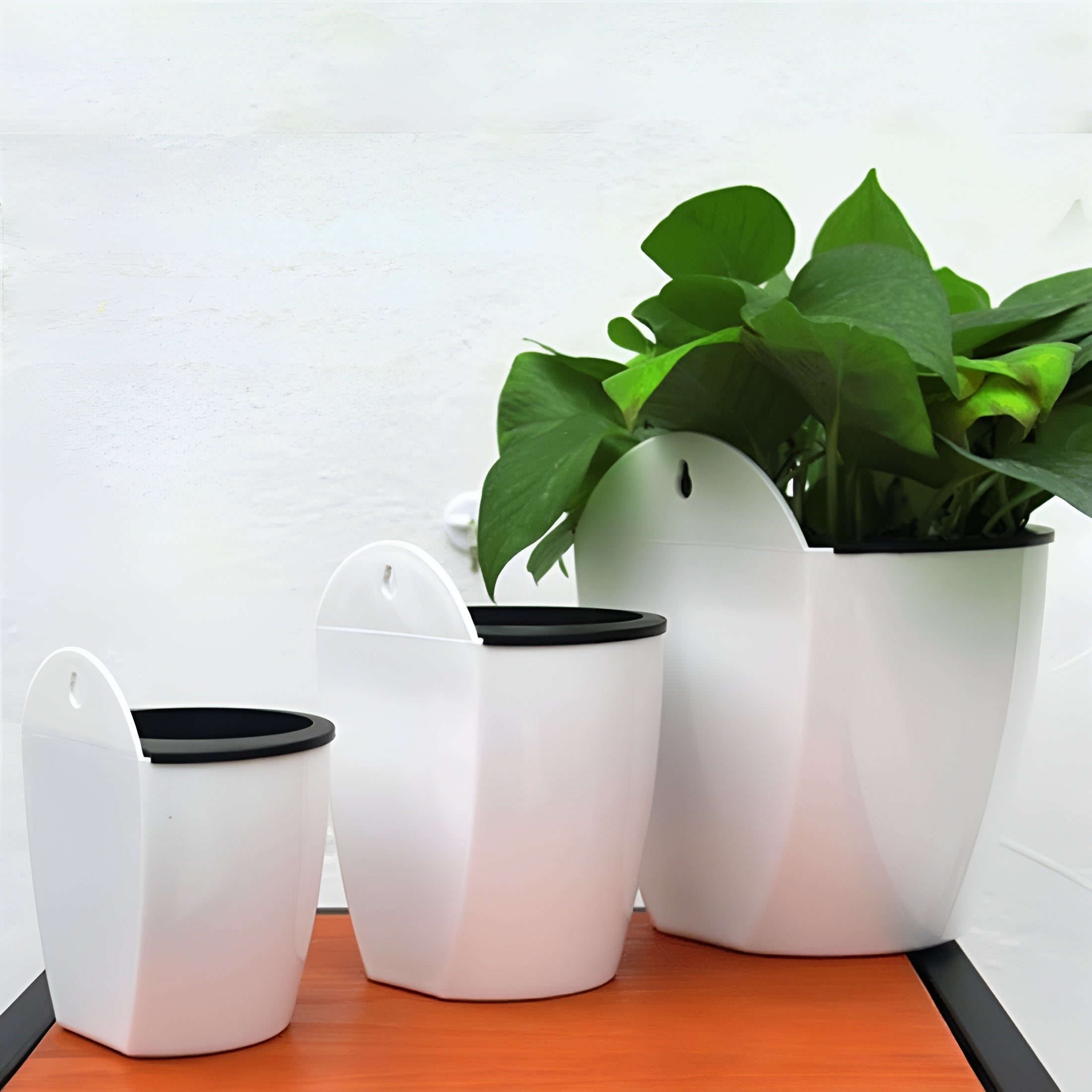 Selbstbewässernder Blumentopf – Elegant für den Innen- und Außenbereich - Blumentopf