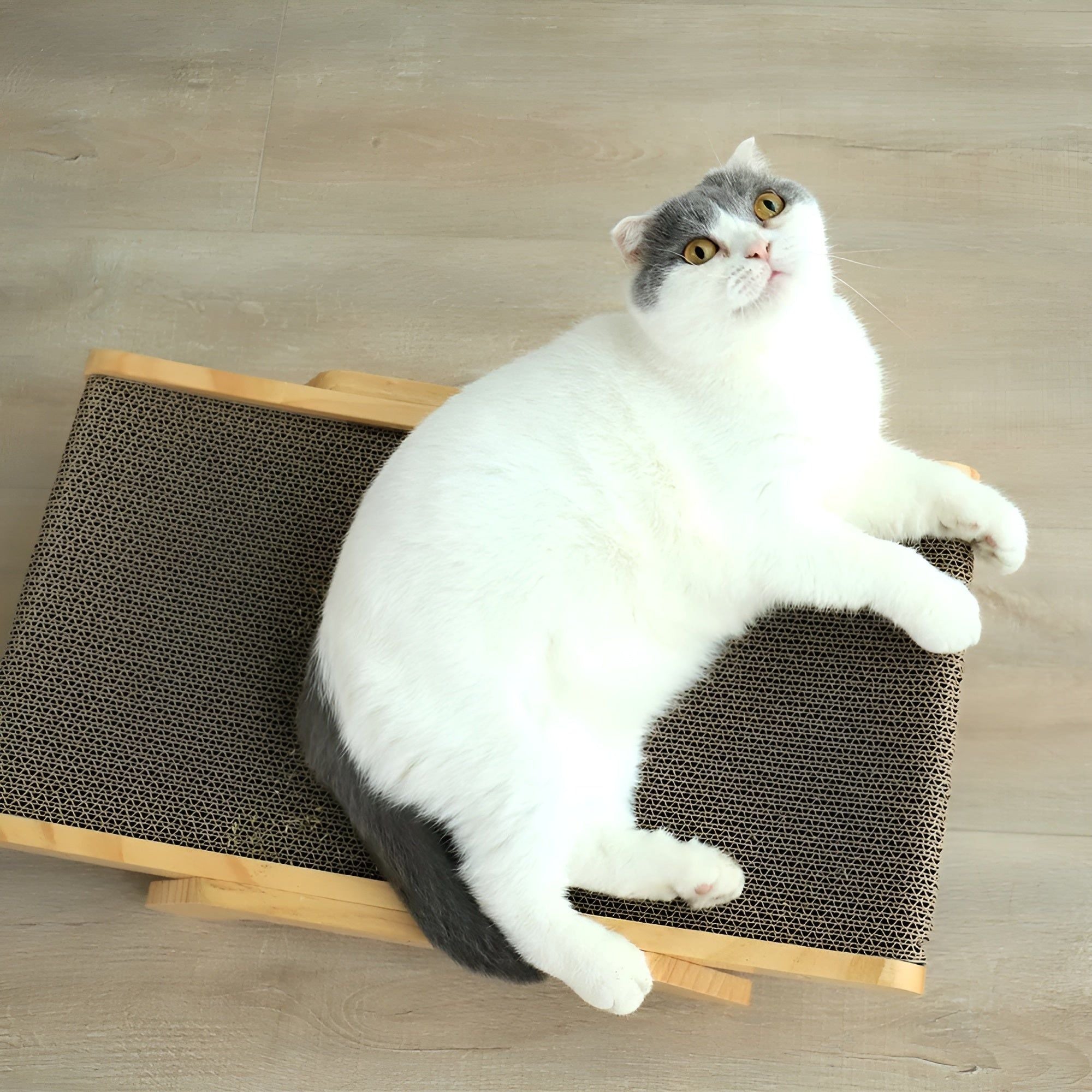 PurrPlay Board - Multifunktionales Abnehmbares Katzenkratzbrett aus Holz - Elegare